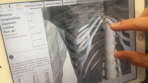 As many as 60% of businesses are homegrown, such as 3D4 Medical As many as 60% of businesses are homegrown, such as 3D4 Medical