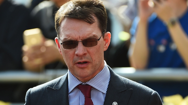 The Ballydoyle handler is closely monitoring the well-being of his horses
