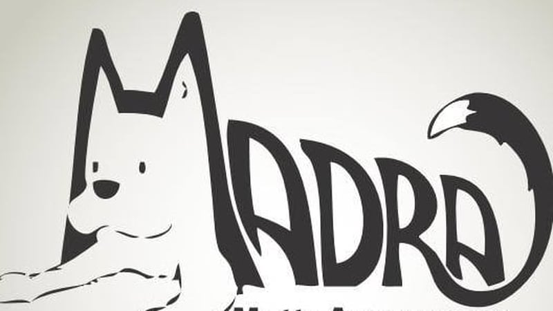 Saoirse Holic, Bainisteoir Bailiúchán Airgid & Imeachtaí MADRA.