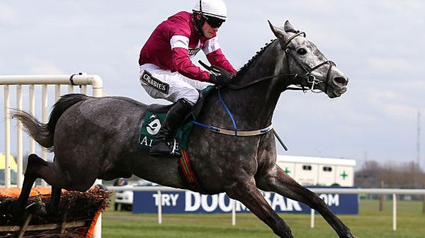 Petit Mouchoir will use the Leopardstown as a test for the Stan James Champion Hurdle