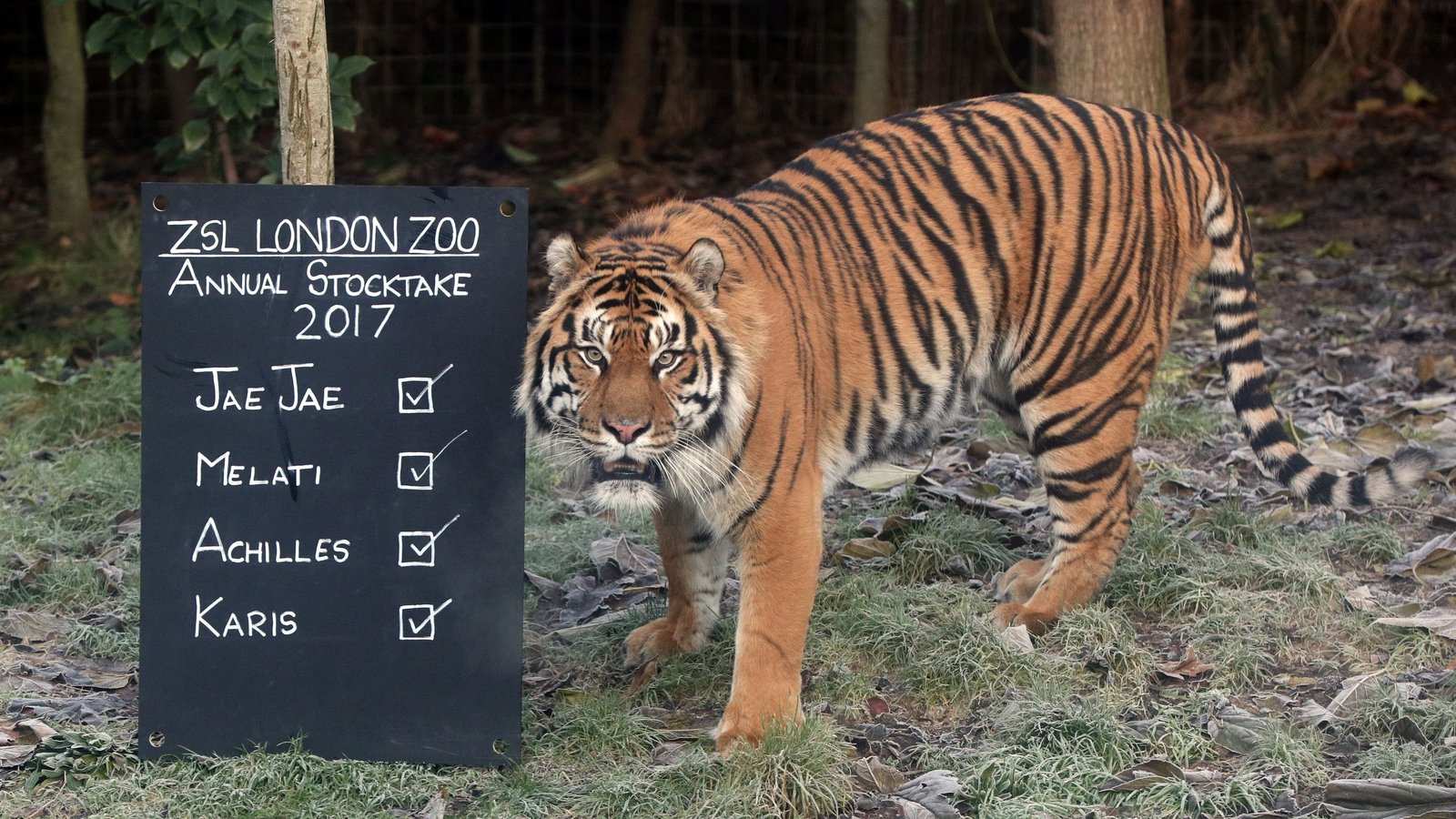 London Zoo begins annual animal stocktake