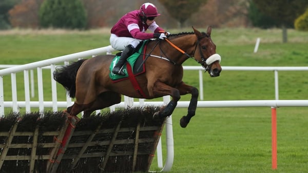 Death Duty is likely to be sent of an odds-on favourite for the Naas feature