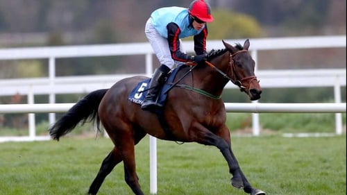 Quick Grabim was a five-length winner of his bumper at Leopardstown over Christmas