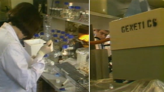 DNA Technology (1987)
