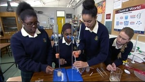 Nationwide: Former winners of the Young Scientist and Technology Nationwide: Former winners of the Young Scientist and Technology