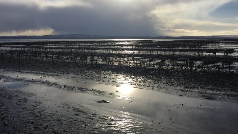 The Loughs Agency The Loughs Agency