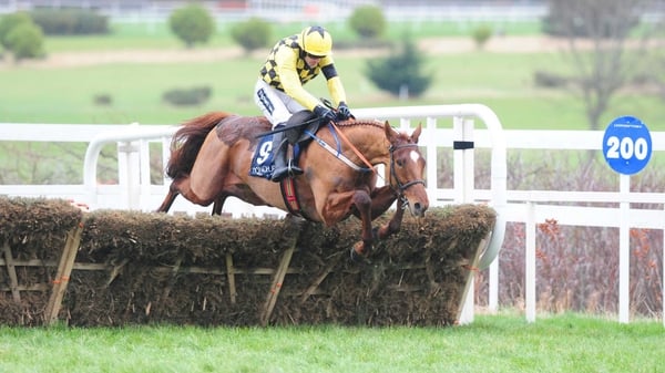 Melon will be expected to run in the Sky Bet Supreme Novices' Hurdle