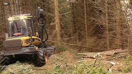 Ireland's Forestry Future | Prime Time