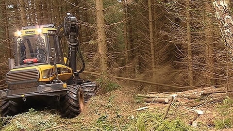 Ireland's Forestry Future | Prime Time