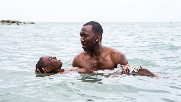Moonlight wins top honour at Writers Guild Awards