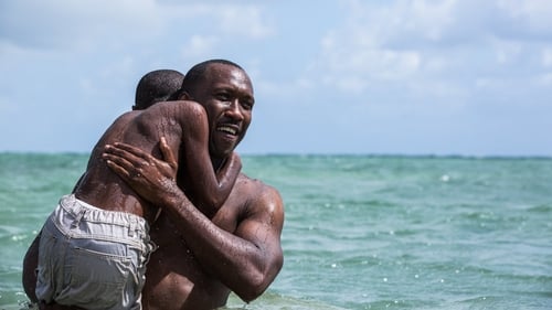 Moonlight is one of the top picks in the cinema this weekend