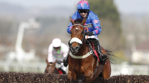 Cue Card has been retired from racing