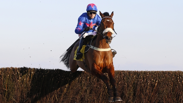 Cue Card winning last year's Ascot Chase