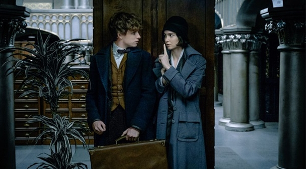 Warnerbros.co.uk Fantastic Beasts and Where to Find Them
