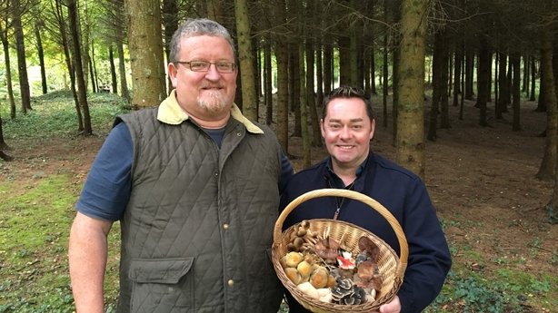 Neven's Irish Food Trails