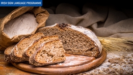 What Are You Eating?