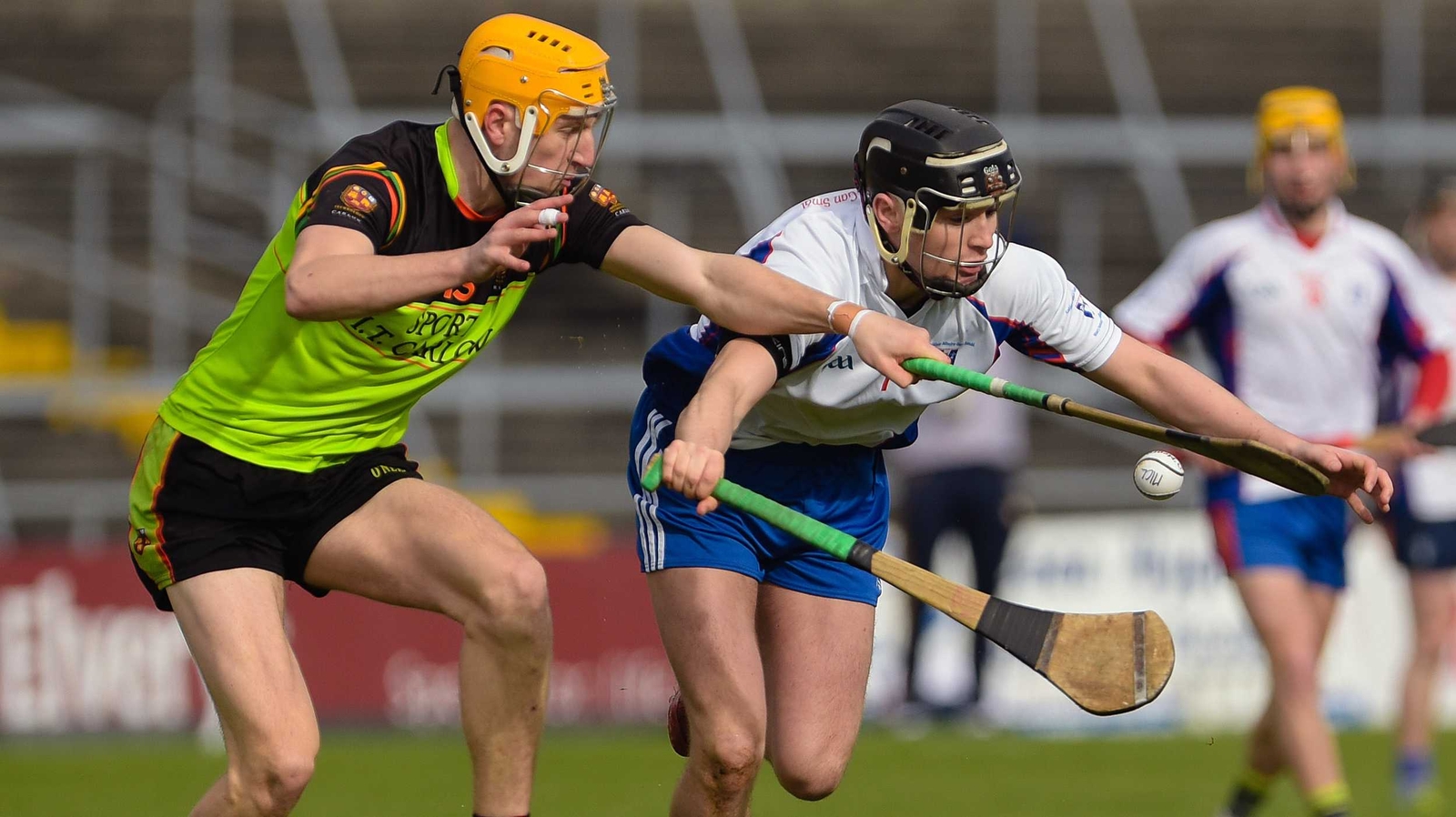 RECAP: Mary I win Fitzgibbon Cup final