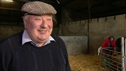 Six One News: Four Identical Calves Born in Co. Clare