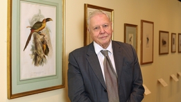 Attenborough At 90