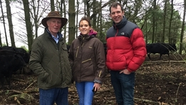 Ear to the Ground: Organic Beef Farming