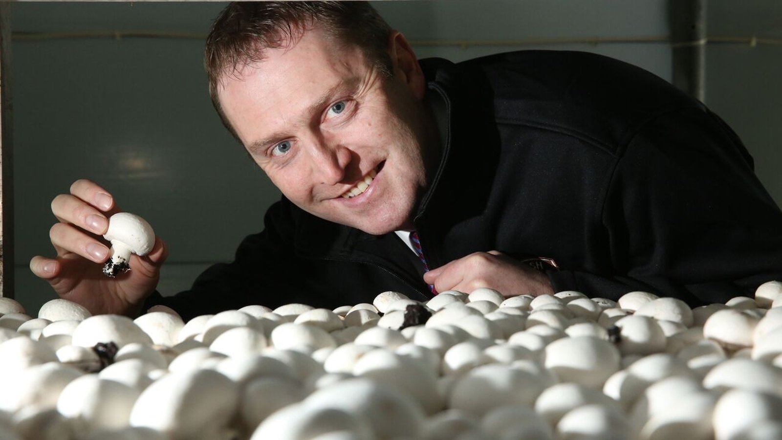 'We have faith in the mushroom industry'