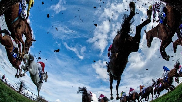 A view of last year's Fairyhouse feature