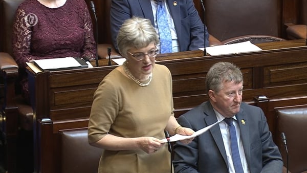 Katherine Zappone said an interim report will be published by the end of the month