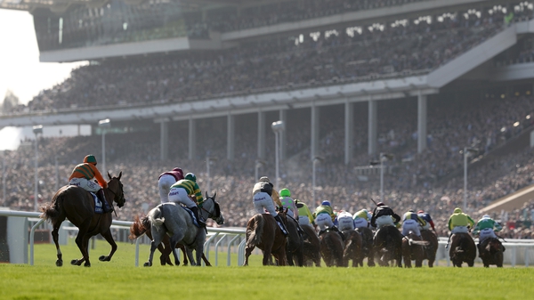 The Cheltenham festival could suffer if measures are not taken to protect racing from Brexit