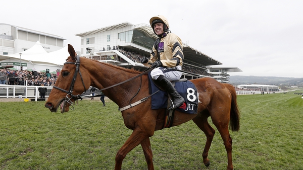 Yorkhill tops the entries for the Ryanair Gold Cup at Fairyhouse