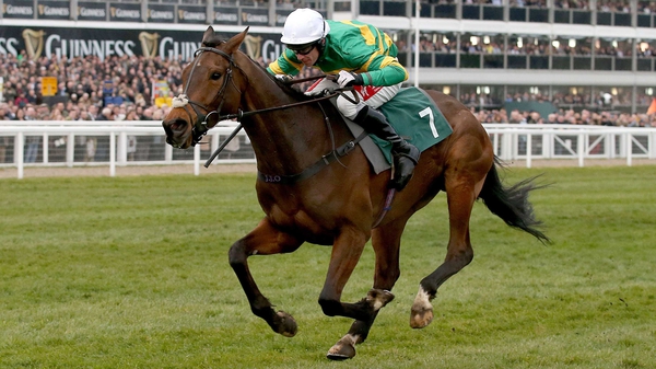 Minella Rocco makes a seasonal bow at Punchestown on Thursday