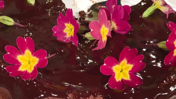 Eunice Power's Delicious Chocolate Cake