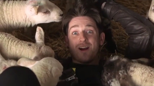After 25 years Stephen Byrne finally reached a farm