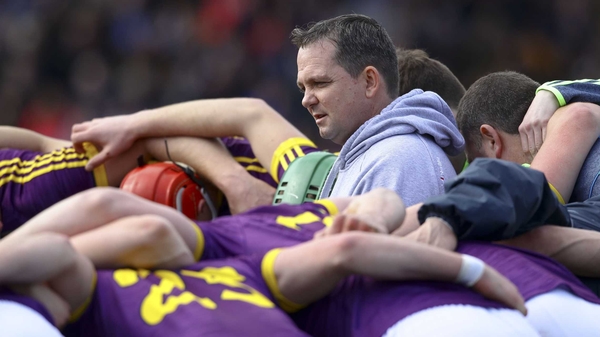Wexford manager Davy Fitzgerald