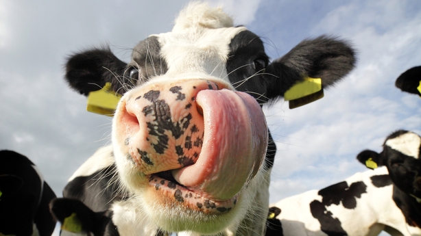 The Ballymoney Festival