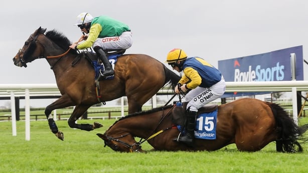 Tudor City goes on to win as Runforbob takes a fall
