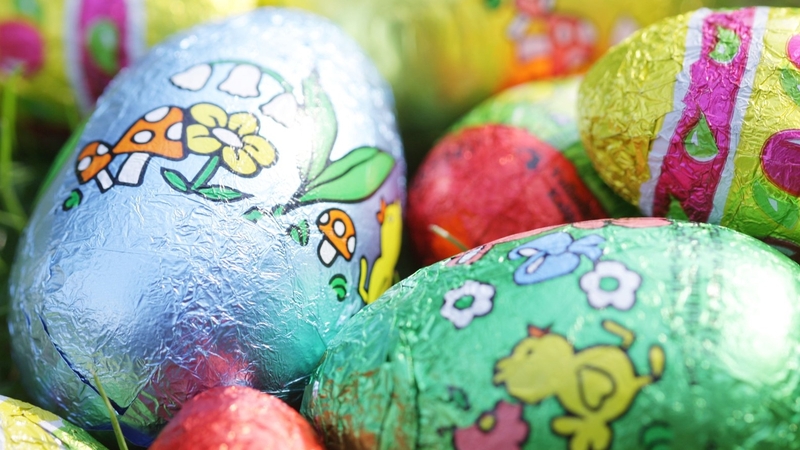 Finding an Easter Camp for the Kids