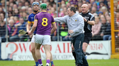 Davy Fitzgerald has his say on the pitch during Wexford's defeat to Tipperary
