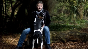 John Connolly's woods are dark and deep - with many chapters to go before you sleep