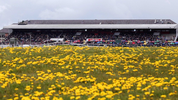 It's the first day of the Punchestown Festival