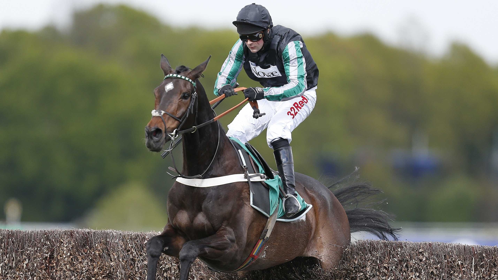 Altior ruled out of Tingle Creek by Henderson