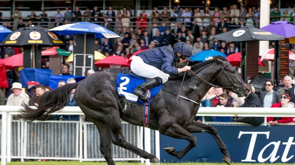 Caravaggio will be out to put a few disappointing runs behind him
