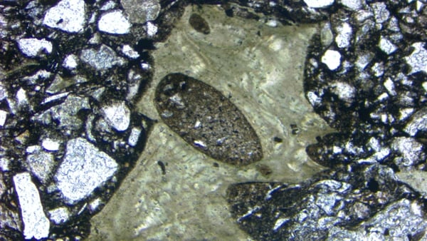 A green shard from the Onaping Formation of the Sudbury impact basin (pic: Paul Guyett, Trinity College Dublin)