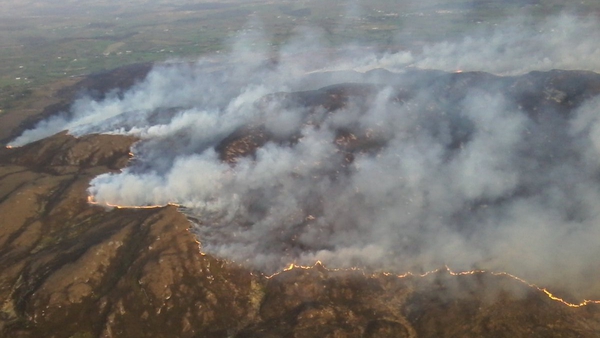 The IWT has called for a complete ban on gorse or land burning at any time of year in Ireland (Photo: Sligo County Council)