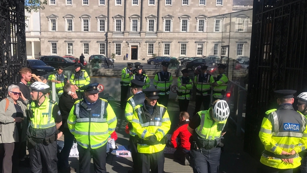 Vera Twomey was holding a sit-down protest inside the gates of Leinster House