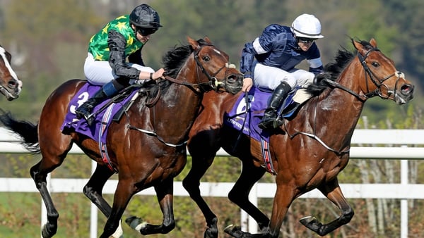Rekindling leads the field home in last month's Ballysax Stakes