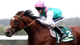 Frankel - Superhorse