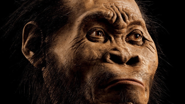 Homo naledi may have had technology attributed to humans (Pic: James Cook University)