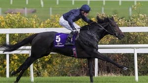 Cliffs Of Moher is one of the leading contenders for the Epsom Derby