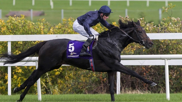 Cliffs Of Moher is one of the leading contenders for the Epsom Derby