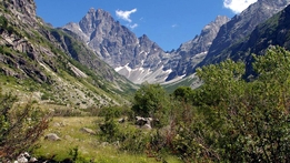 Wild France